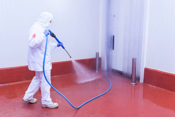 Best Factory Floor Cleaning  in Duquesne, MO